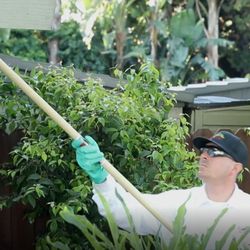 akela pest control photo of akela pest control riverside ca united states service pro 19 photos 92 reviews 5295 akela pest control photo of akela pest control riverside ca united states service pro 19 photos 92 reviews 5295