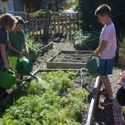 Ocean Charter School 14 Reviews Elementary Schools 12606 Photo Of Ocean Charter School Los Angeles Ca United States Gardening