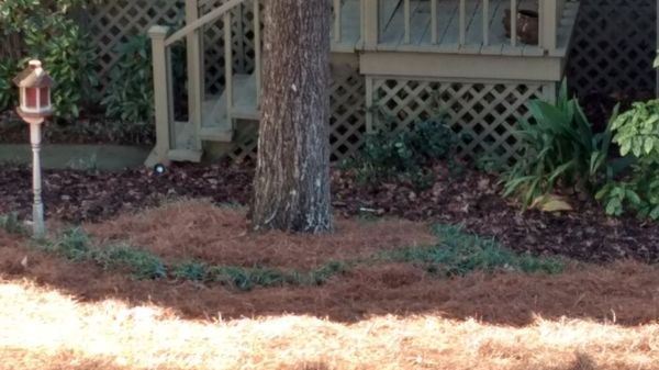 No Limit Landscaping 178 Castleair Dr Ne Kennesaw Ga Photos 10