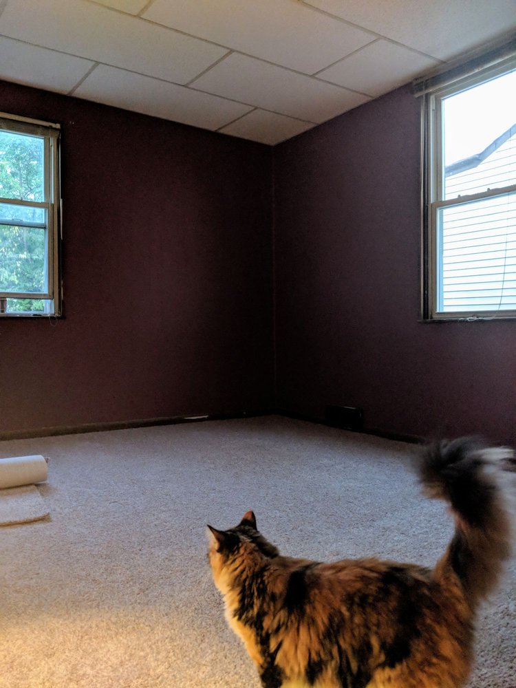 A & S Carpet Collection