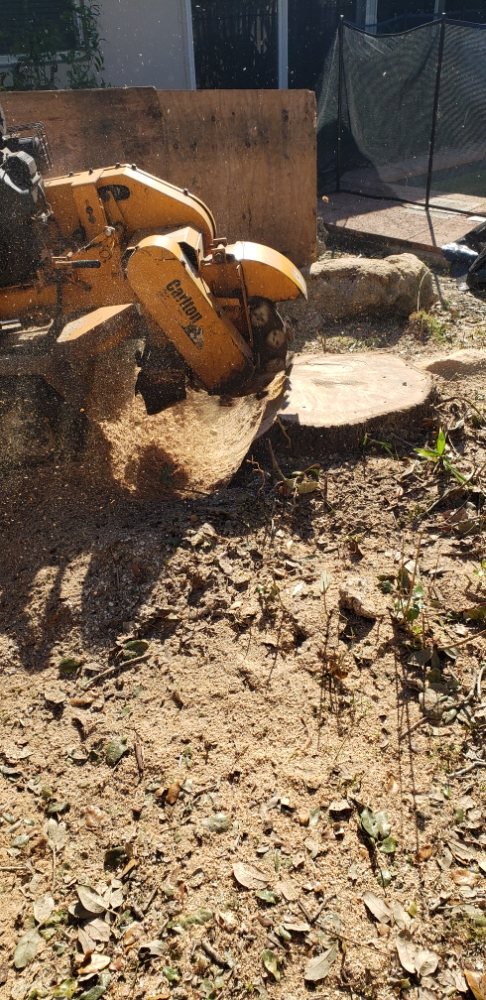 Jireh Tree Care