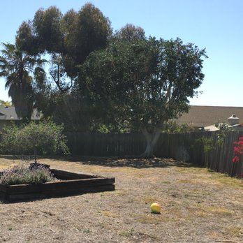 Green View Landscape Tree Service 339 Photos 143 Reviews Photo Of Green View Landscape Tree Service Escondido Ca United States