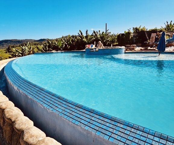 The Daily Dip Pools