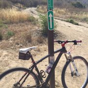 adrenaline bike shop 17