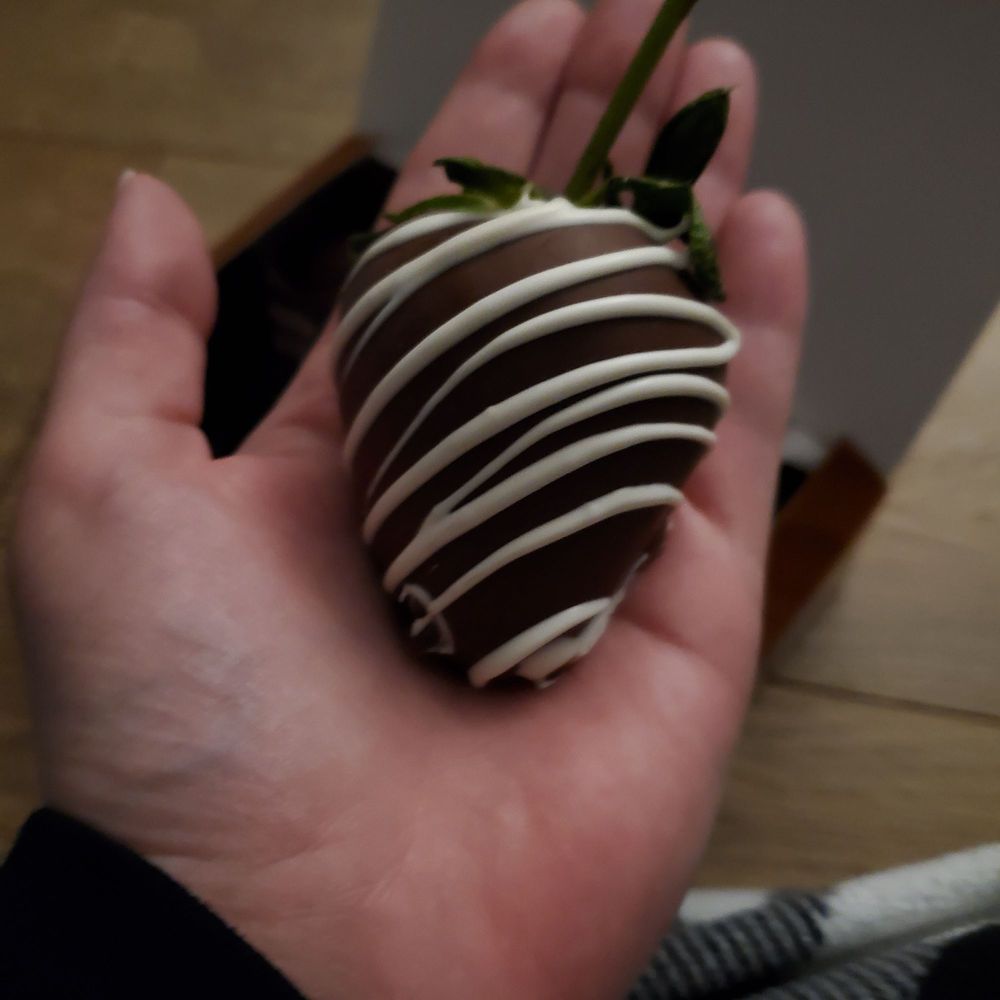 Rocky Mountain Chocolate Factory, Reno Roadtrippers