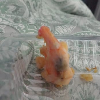 Chinese Food Delivery Sugar Hill Ga Chinese Food Delivery Sugar Hill Ga