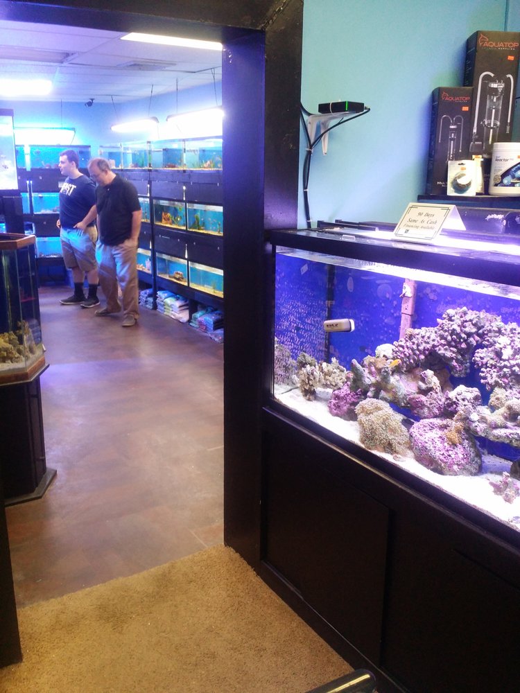 Oceanside Aquariums 10 Photos Pet Stores 11936 Lebanon Rd, Mount