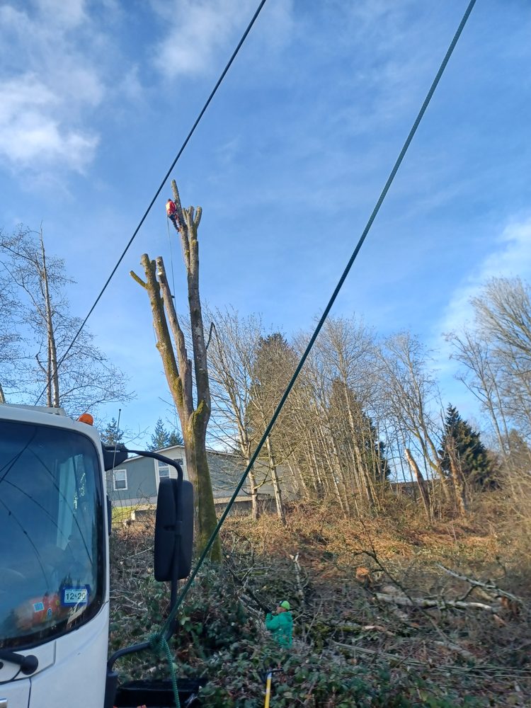 Two Brothers Landscaping and Tree Service