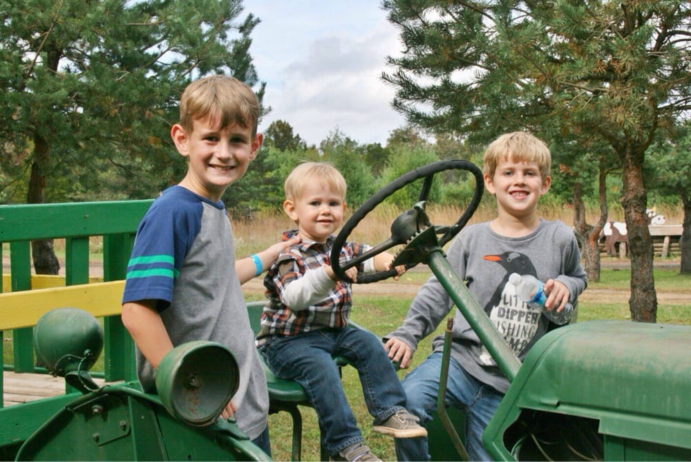 Ticonderoga Farms