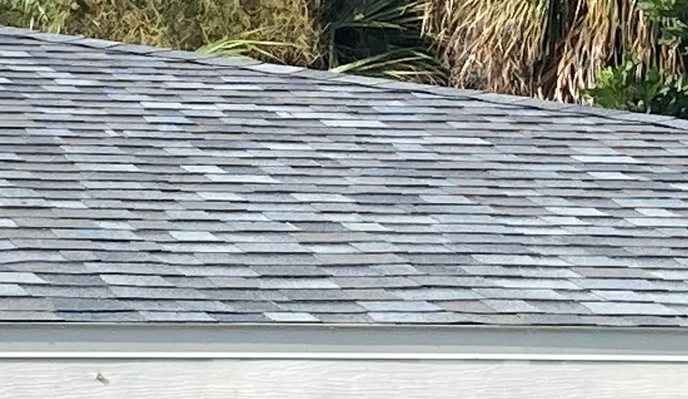 Red Dog's Roofing of Florida