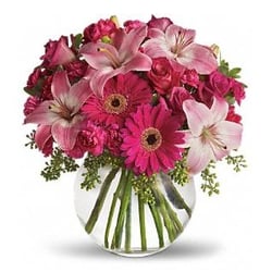 Dillon Son Florists 2168 Main St Stratford Ct Photo Of Dillon Son Florists Stratford Ct United States