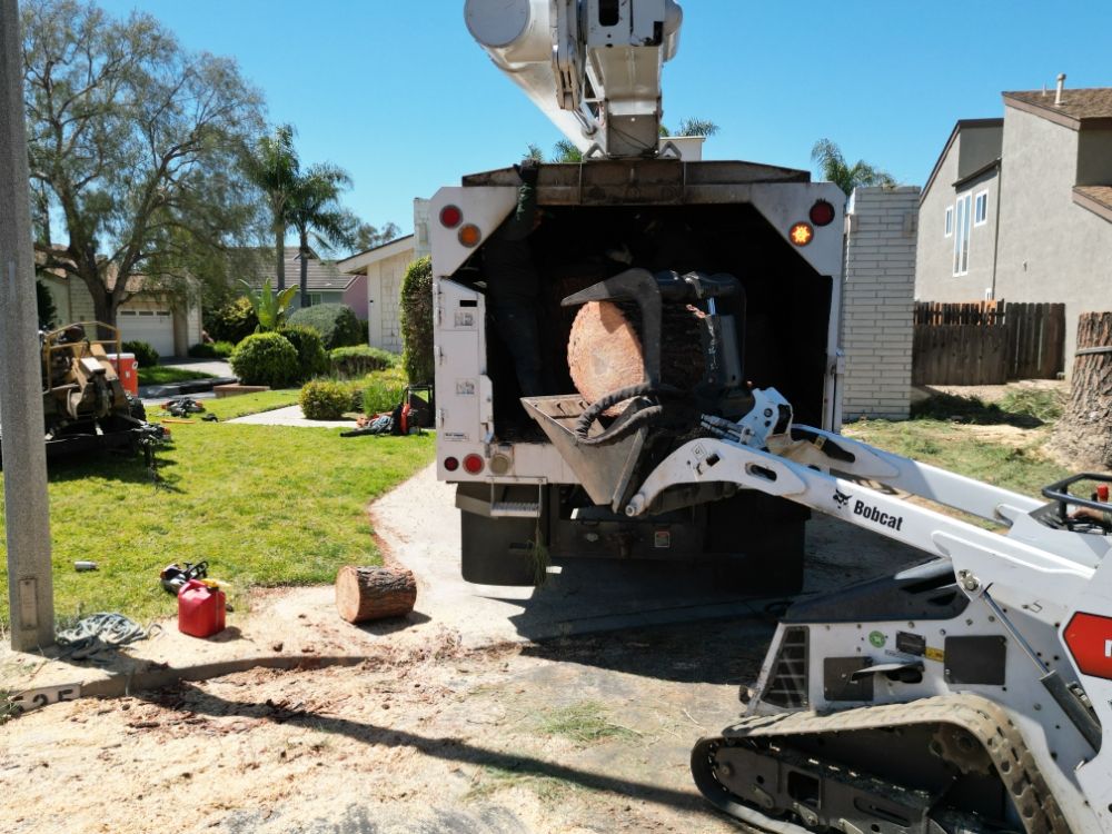 Paez Tree Service