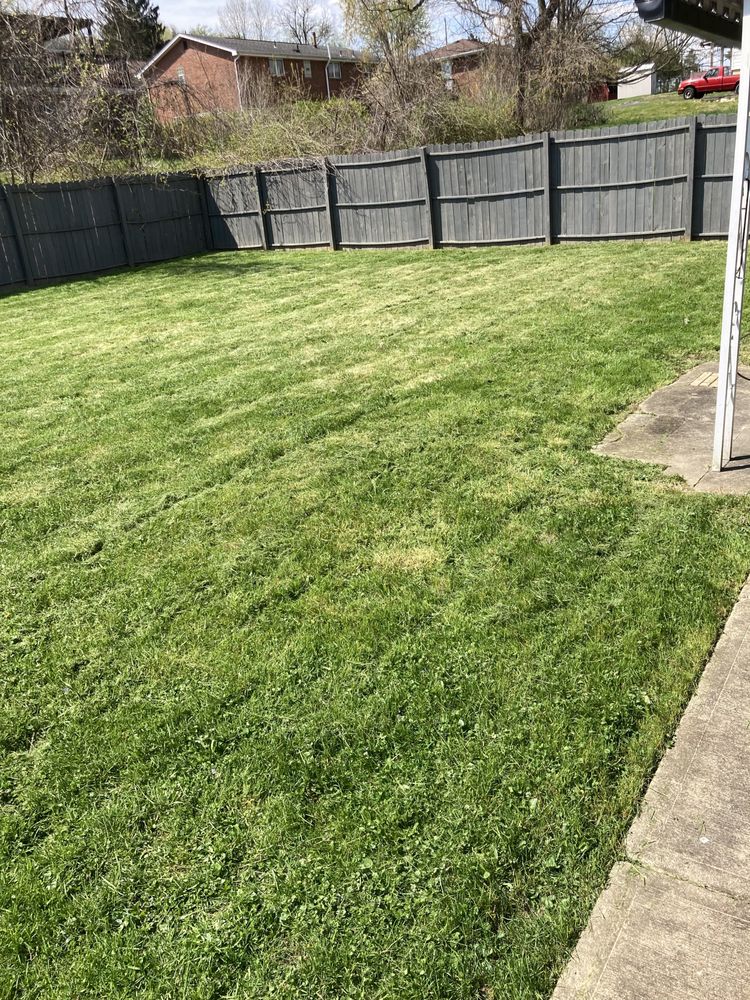 Big Ed’s Lawncare