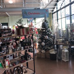 Pike Nurseries 19 Photos 14 Reviews Gardening Photo Of Pike Nurseries Roswell Ga United States