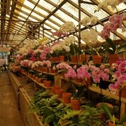 Rountree Plantation 21 Photos 20 Reviews Nurseries Gardening Campbell S Greenhouses