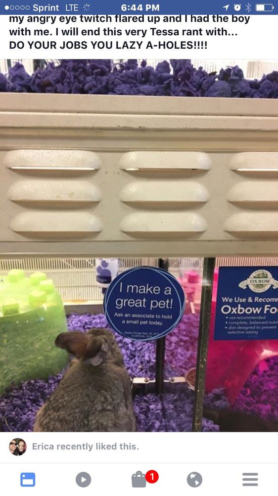 PetSmart 23 Reviews Pet Training 4920 S Power Road, Mesa, AZ