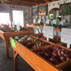 Photo of HWY 76 Fruitstand - Fallbrook, CA, United States