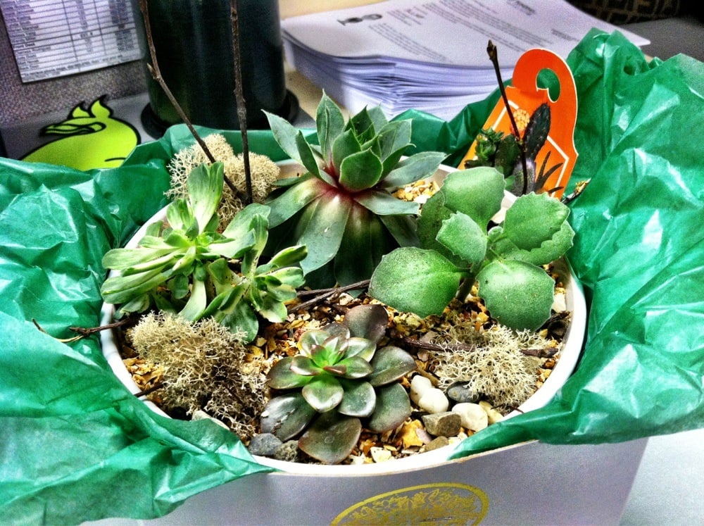 Relles Florist 34 Photos & 83 Reviews Florists 2400 J St, Midtown