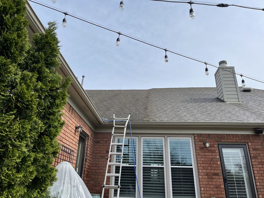 Renew Exterior Cleaning