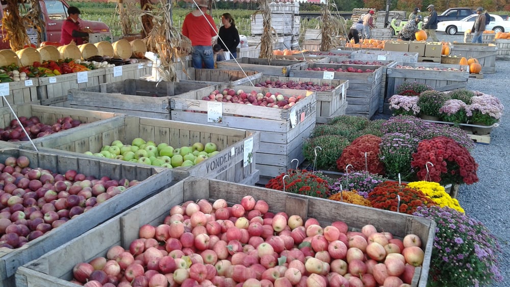 Yonder Farms Fruits & Veggies 37 Maple Ln, Valatie, NY Phone
