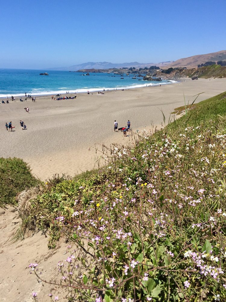 Portuguese Beach 29 Photos Beaches 42274399 Shoreline Hwy