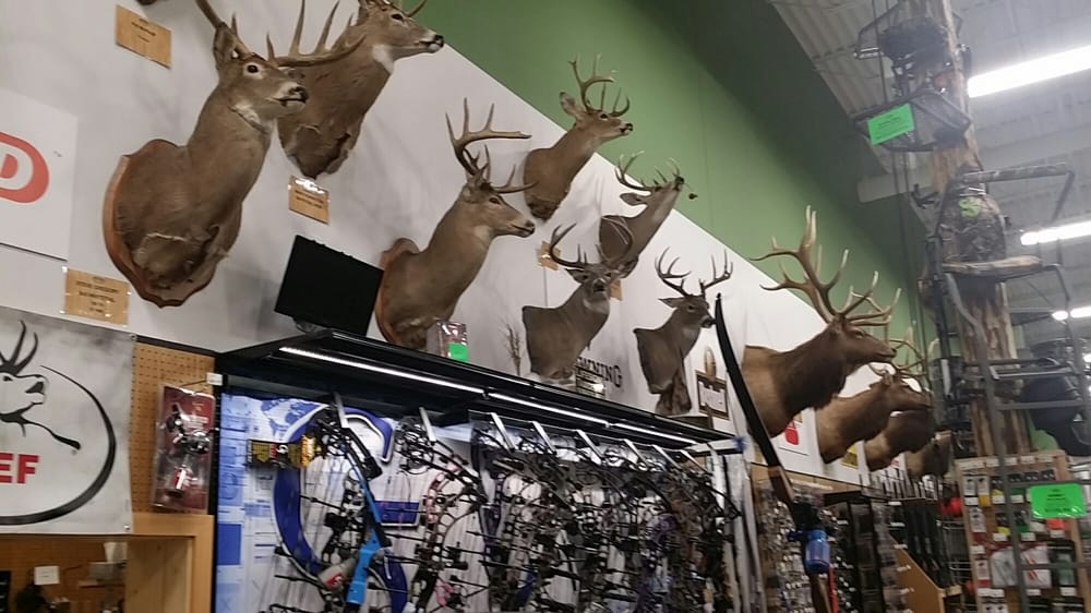 Sportsman’s Warehouse 10 Reviews Outdoor Gear 6720 N Division St, Spokane, WA Phone