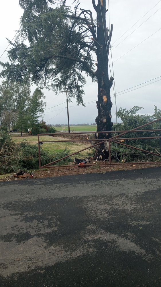 Horizon Tree Service