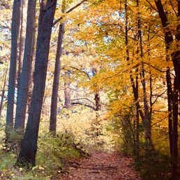 waterfall glen forest preserve in darien illinois
