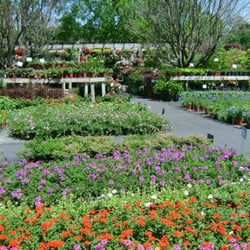 Wise Nurseries Garden Center 10 Photos Gardening Photo Of Wise Nurseries Garden Center Statesboro Ga United States