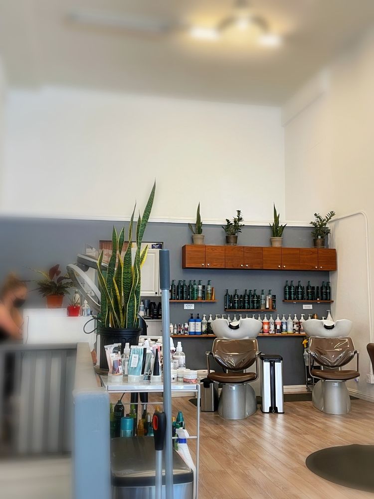 Topiary Salon