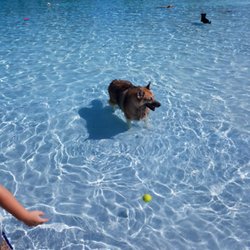 Castaway island - 10 Photos - Water Parks - 3300 North Park Rd