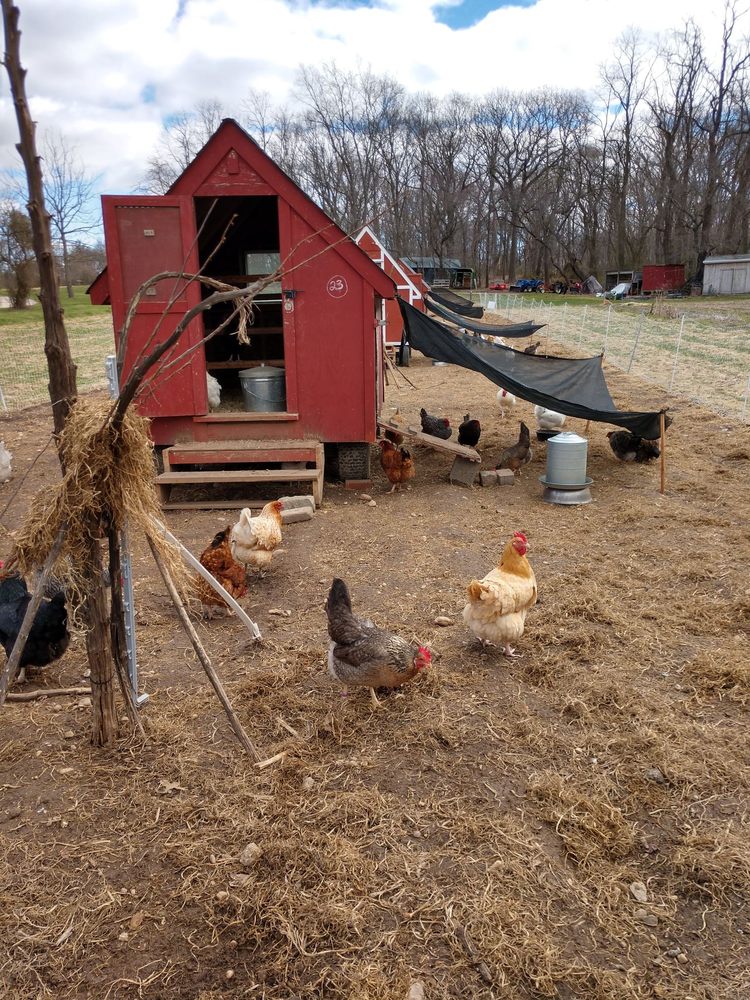 Restoration Farm