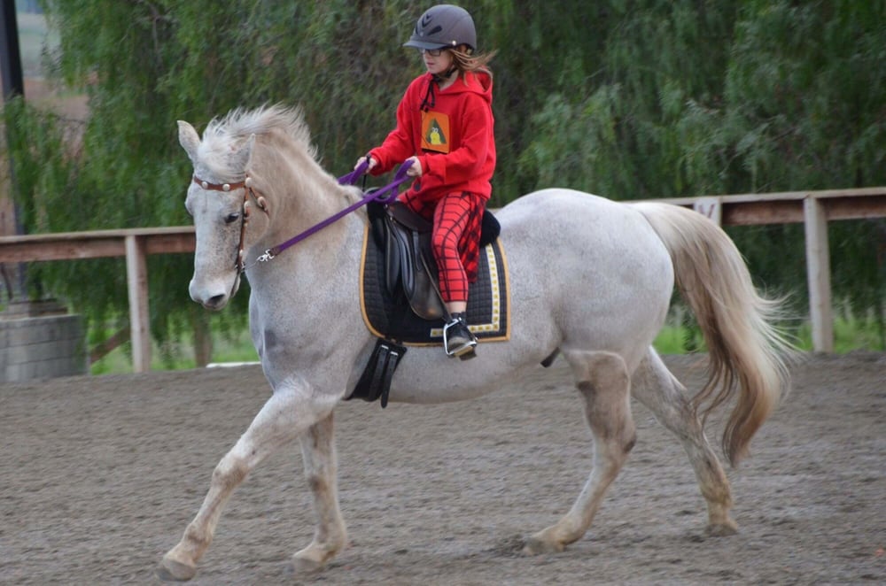 Billings Equestrian Horseback Riding Livermore, CA Phone Number