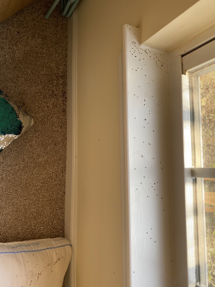 Woodland Crossing Apartment Homes