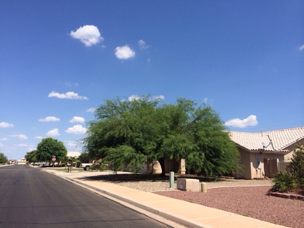 All Star Tree Service Tree Services 3123 W 1st St, Yuma, AZ Phone