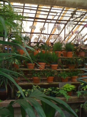 Campbell S Greenhouses Nursery Closed 2000 South Blvd Photo Of Campbell S Greenhouses Nursery Charlotte Nc United States