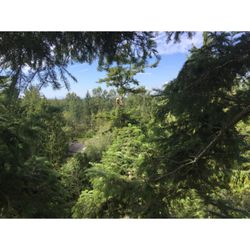 tree service bellingham photo of western star tree service bellingham wa united states 10 photos services 4052 jones tree service bellingham photo of western star tree service bellingham wa united states 10 photos services 4052 jones
