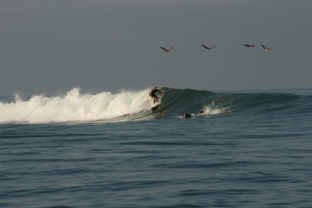 image of business Anthony Bordas ,DDS