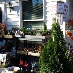 Springlake Nursery 14 Photos Nurseries Gardening 3023 Photo Of Springlake Nursery Perry Oh United States