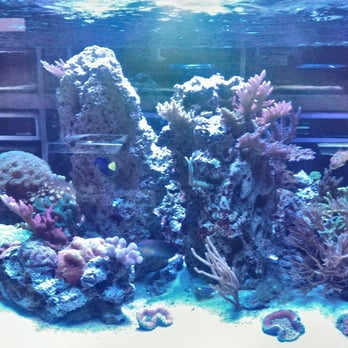 gills marine closed 24