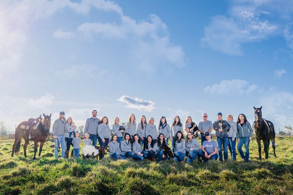 Cottonwood Small Animal Clinic Veterinarians 20633 Gas Point Rd