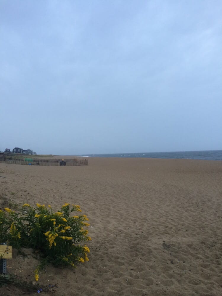 Plum Island Ma Restaurants Reviews Plum Island Ma Restaurants Reviews