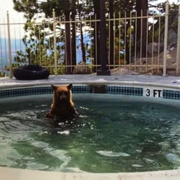 Photos For Lake Tahoe Resort Hotel Yelp Photo Of Lake Tahoe Resort Hotel South Ca United States