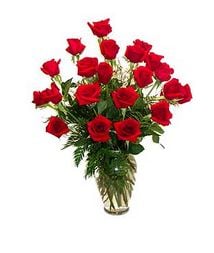 Fleuriste Jardin Alex