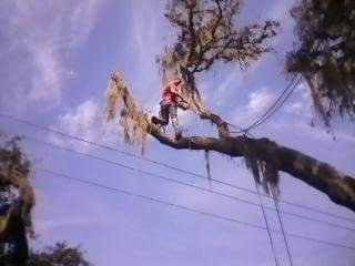 Koba's Tree Service and Firewood