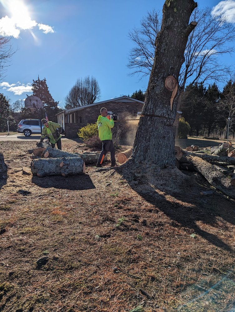 Woody's Tree Service