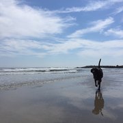 8th Avenue Dog Park 23 Photos Parks 1740 1798 Ocean Ave Life S Photo Of 8th Avenue Dog Park Asbury Nj United States