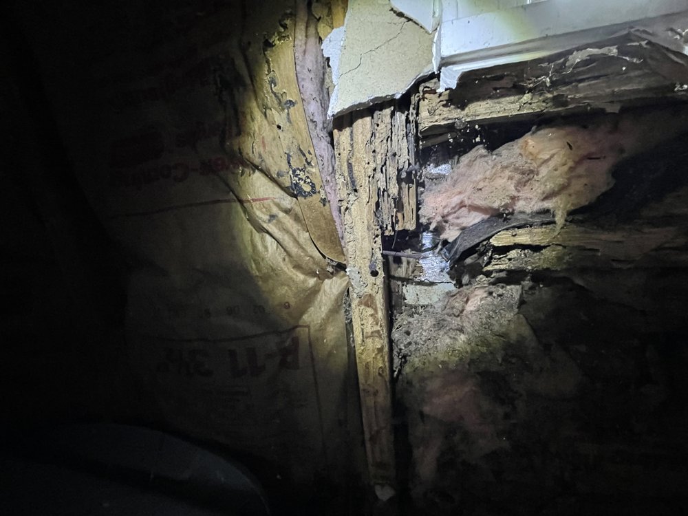 Morse Home Inspections