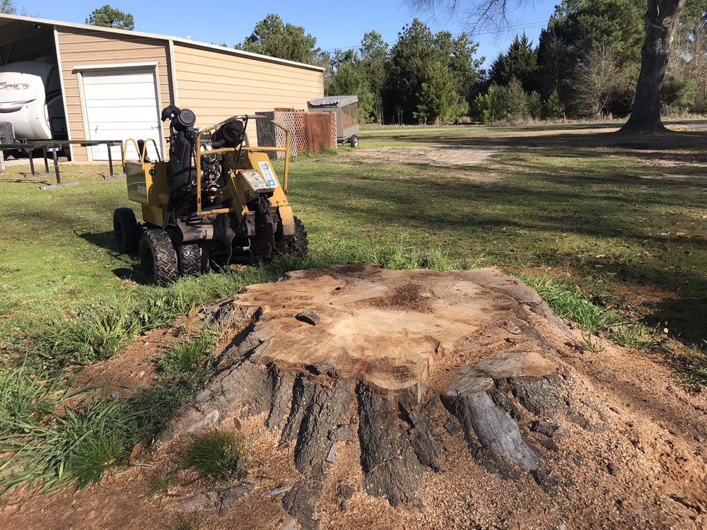 Tyler Stump Grinding