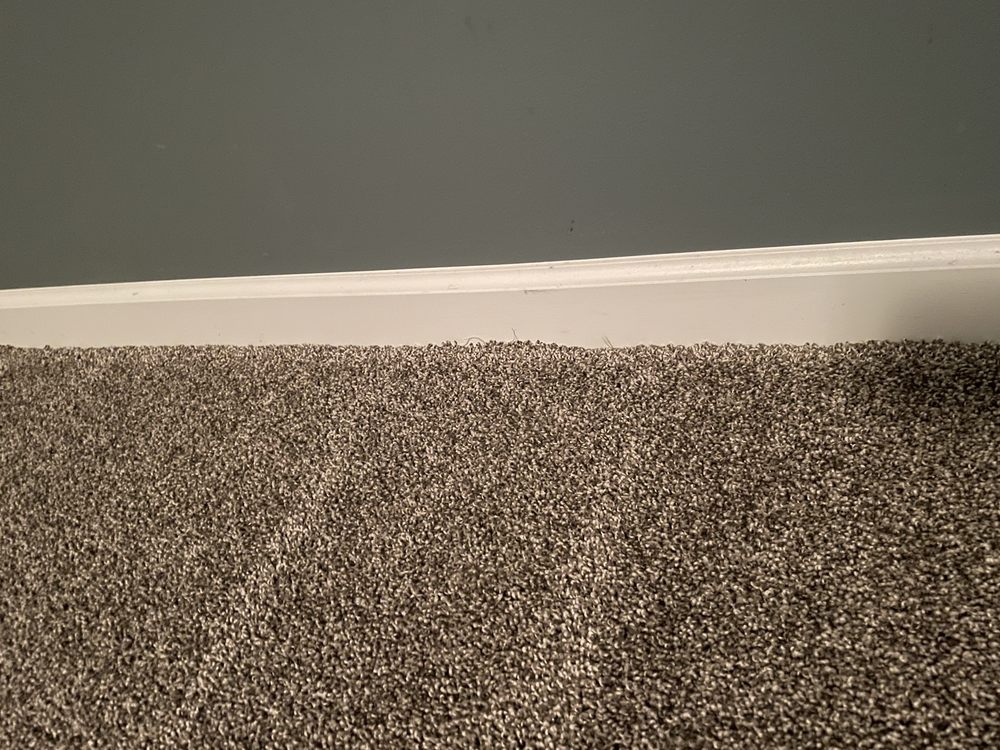 New Finish Carpet Care